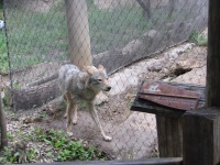 20100206 528.JPG
